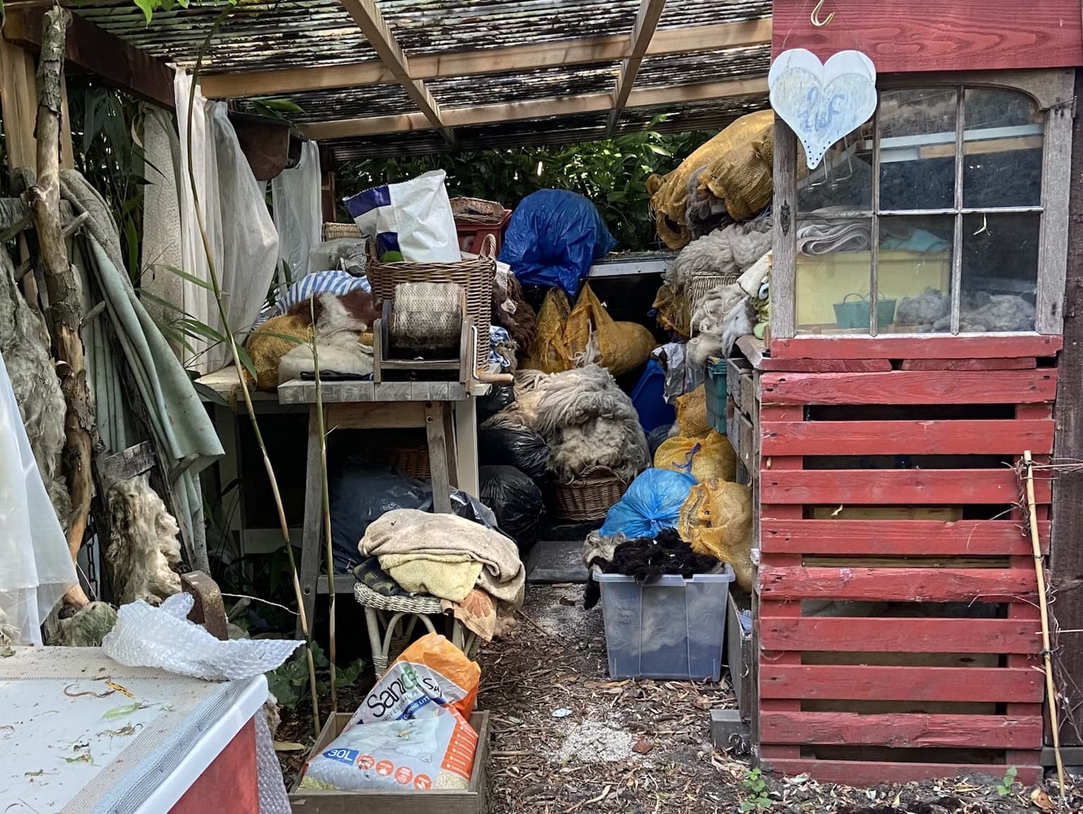 Shed and backyard cleared out